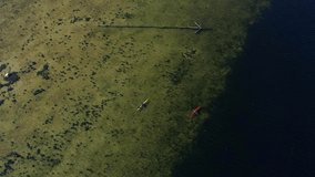 Aerial footage of two persons in each their kayak paddling over the sea, on a beautiful sunny day. One red and one yellow kayak. The sea goes from very shallow to very deep in right side of the frame.