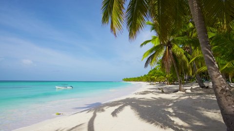 Relax on an empty sea beach. Travel to the paradise sea beach. The Dominican Republic beaches. Travel to Island Saona, idyllic tropical sea beach loop video, copy space.
