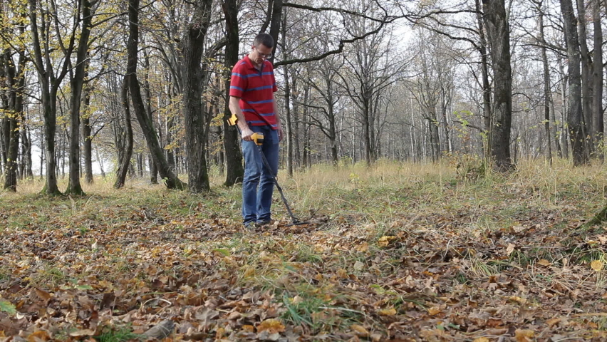 A man with a metal detector walks in the autumn forest and searches for metal lying underground.
