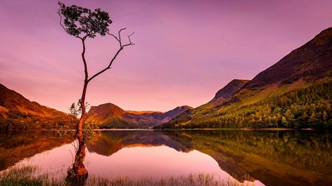 Sunset over lone tree on Buttermere lake in Lake District, Cumbria, UK.Tranquil evening landscape scenery with colourful sky and mountain reflection in water.4K nature time lapse video clip.