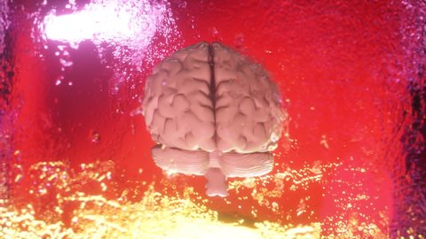 A frozen human brain inside a spinning ice cube. Seamless loop 3d render