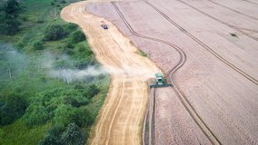 Aerial video flying over harvesting wheat combine in summer field. Top view 4k UHD drone footage