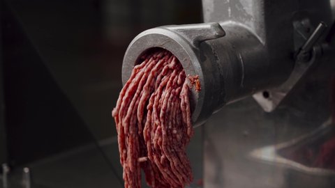 Industrial processing lard or beef meat in minced meat on a huge meat grinder at a meat factory closeup