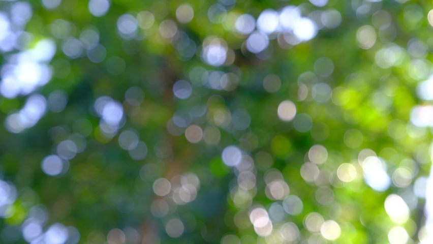 Complex and beautiful bokeh light movement Royalty-Free Stock Footage #1061482630