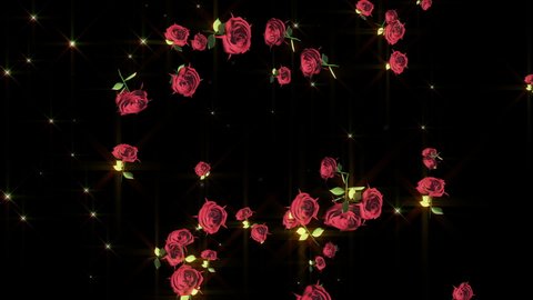 tulip rose flower particle loop animation