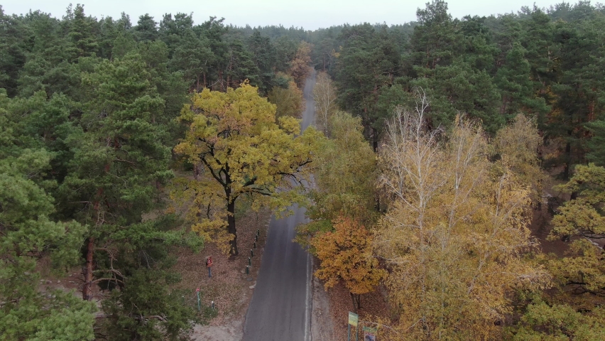 Automobile road in the autumn forest