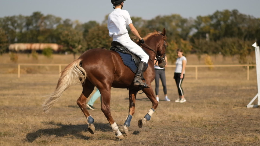 A rider trains before a show jumping competition. Equestrian sport, show jumping competition. Royalty-Free Stock Footage #1061504896
