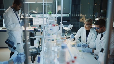 Female and Male Medical Research Scientists Have a Conversation While Conducting Experiments in Test Tubes with Liquid Samples with and in Beakers with Solid Speciments. Modern Science Laboratory.