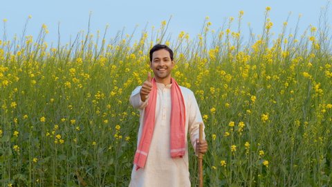 Portrait of a confident Indian farmer in his mustard field - Indian Agriculture . A medium shot of a villager in a traditional dress standing in front of his crops and showing thumbs up gesture