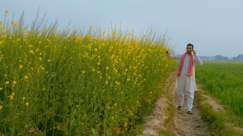 A happy Indian farmer talking on mobile while walking through his green farm. Village scene of a smiling young villager roaming in the field of mustard (Sarso) while wearing white kurta-pajama
