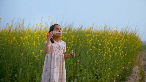 Cute Indian kid/child happily blowing soap bubbles in a mustard/Sarso field. Medium shot of a cute Indian village girl happily enjoying and making soap bubbles in her agricultural farmland