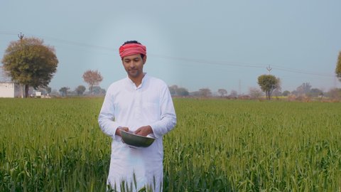 An Indian farmer in a village putting harmful pesticides in his wheat field . Medium shot of a young man putting urea - a chemical fertilizer into his crops - Indian Farming