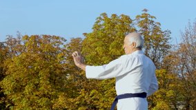 Against the background of the sky and trees, an active man athlete trains formal karate exercises