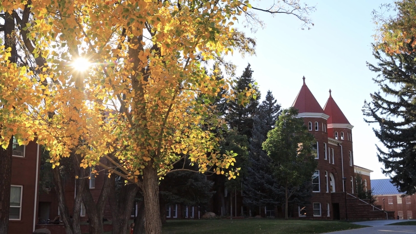 Beautiful fall color around the campus of Northern Arizona University at Arizona