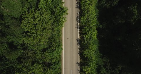 Empty road endless asphalt straight freeway in green dense forest / Aerial top down view, Highway trip without cars at summer sunny day