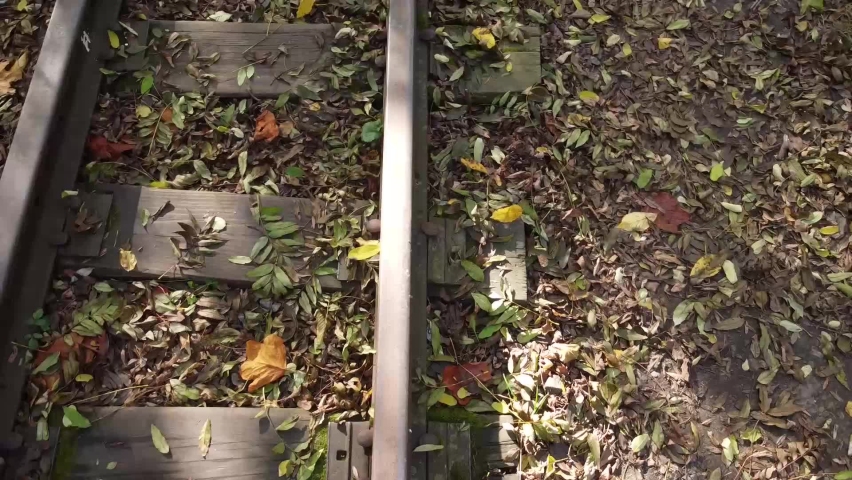 Narrow-gauge railway. Filming in the fall.