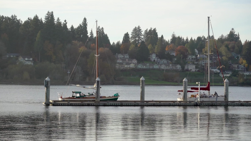 Boat Dock Bird Harbor in Olympia WA