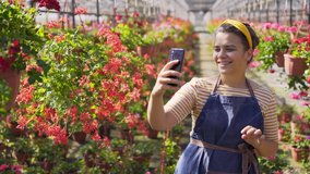 Cheerful woman florist in blue apron shoots video for blog with smartphone walking past pink flowers on potted plants in modern sunny greenhouse