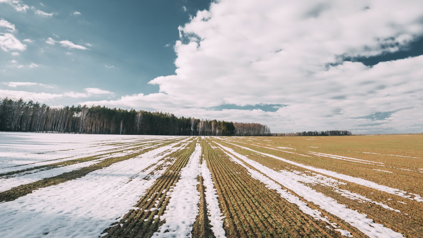 Spring Plowed Field Partly Covered Winter Melting Snow Ready For New Season. Ploughed Field In Early Spring. Farm, Agricultural Landscape Under Scenic Cloudy Sky. Royalty-Free Stock Footage #1061594299