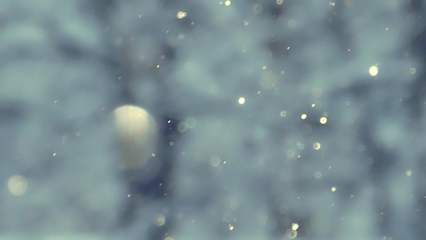 Bokeh of falling defocused snowflakes sparkling in the sunlight in a winter forest Royalty-Free Stock Footage #1061595511