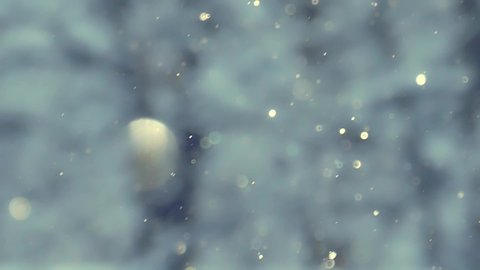 Bokeh of falling defocused snowflakes sparkling in the sunlight in a winter forest