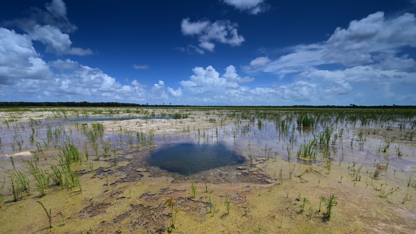 Timelapse of cumulus clouds forming over Hole-In-The-Donut habitat restoration project in Everglades National Park, Florida 4K.