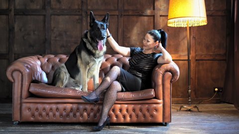 Woman sits with a German Shepherd on the couch. Owner with a dog in appartment. Woman strokes dog. High quality 4k footage.