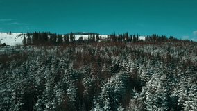 Carpathian mountains winter. Snow snow-covered aerial video 4K.