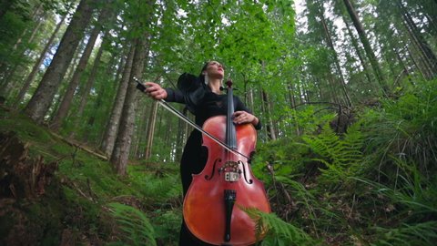 Lady with musical instrument in beautiful nature. Attractive woman in long black dress playing the cello in green forest.