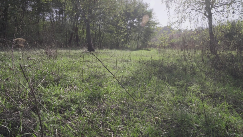 Man takes a walk in the autumn woods on a bicycle