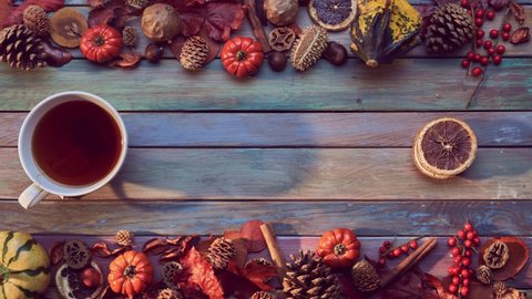 Cup of tea or mulled wine. Autumn  decoration on wooden table with leaves, pumpkins, pine cones on colorful background. Copy space for text or seasonal offer. Stop motion, timelapse.