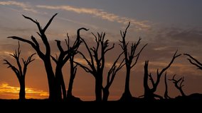 Dead Trees in Deadvlei, Time Lapse at Sunrise, Namibia, Africa - Powered by Shutterstock - Get 15% off with code: PIKWIZARD15