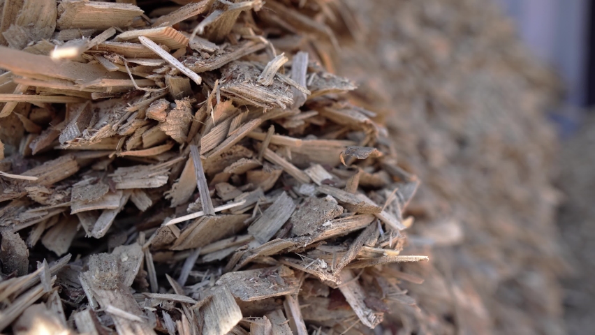 
Wood particles of various shapes and sizes, obtained as a result of mechanical processing. For solid fuels, biomass and is a raw material for the production of wood pulp Royalty-Free Stock Footage #1061608066