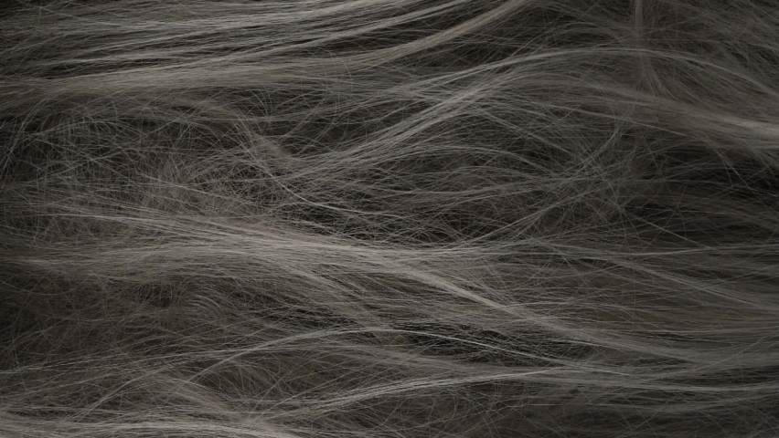 Slow motion before and after beautiful grey long smooth hair texture background, vertical video. | Shutterstock HD Video #1061624374