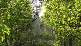 Farmer in Personal Protective Equipment Spraying Orchard in Springtime. Slow Motion Video of a Farmer With Backpack Atomizer Sprayer Spraying Fruit Orchard.