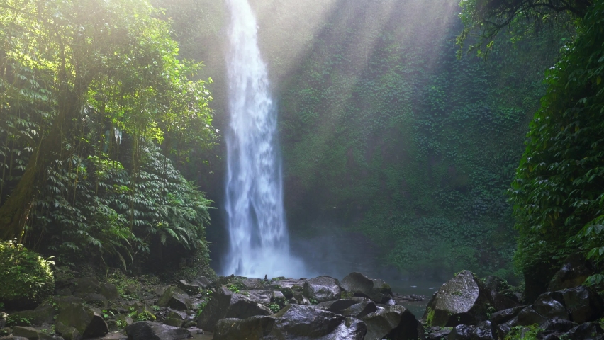 Waterfall hidden in tropical rainforest jungle Royalty-Free Stock Footage #1061649835