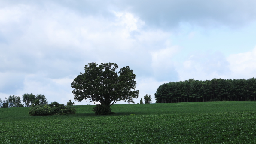 Timelapse of country scene in Canada in summer 4K