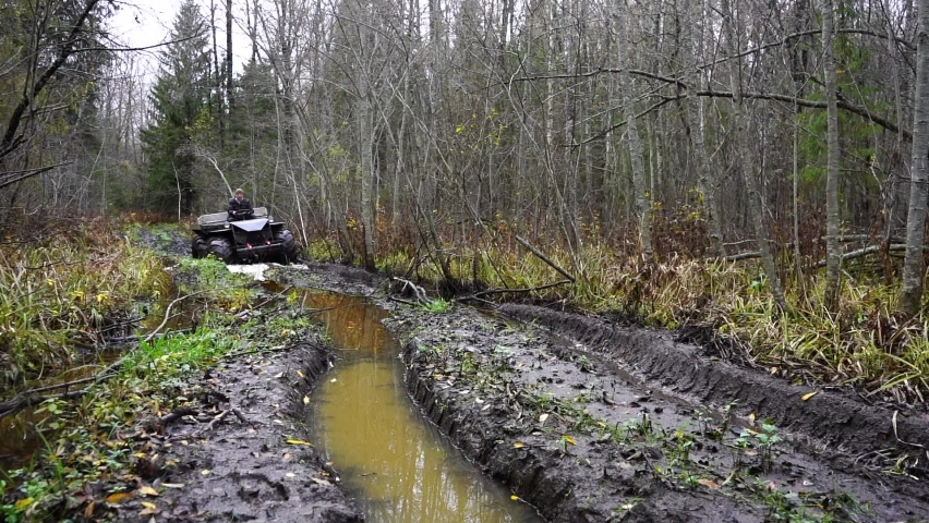 A hunter rides a swamp vehicle through the forest.