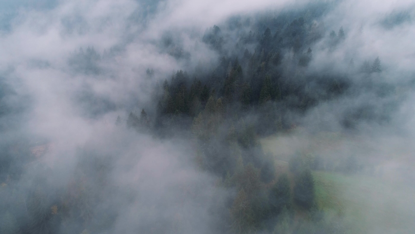 Rainy weather in mountains. Misty fog blowing over pine tree forest. Aerial footage of spruce forest trees on the mountain hills at misty day. Morning fog at beautiful autumn forest.  Royalty-Free Stock Footage #1061662531