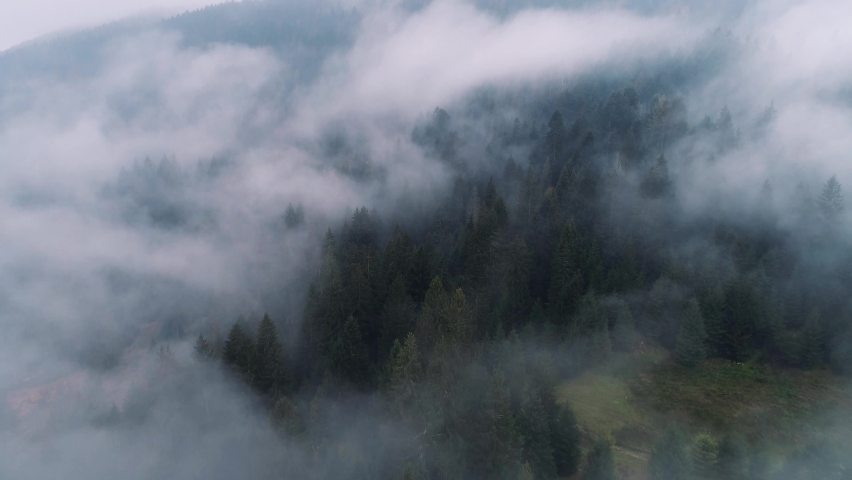 Shutterstock video thumbnail