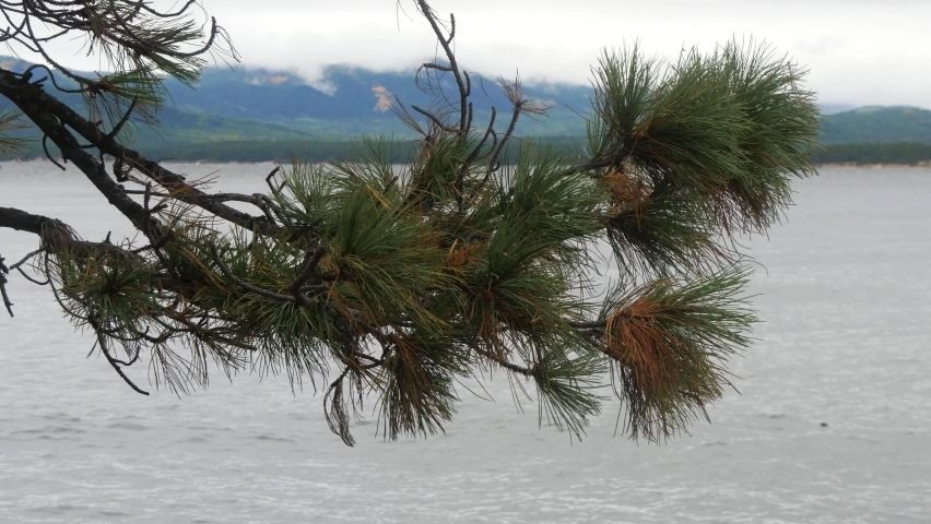 The shore of Lake Baikal in cloudy weather on an autumn day.