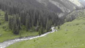 Drone video of Altyn Arashan River, Yurts Village, Natures, Landscape, Karakol, Issyk Kul Lake, Kyrgyzstan, Central Asia, River, DJI Mavic Air, Bird view, 4K Ultra HD.