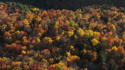 Aerial overhead shot above colorful trees in beautiful fall scenery. Foliage in Vermont