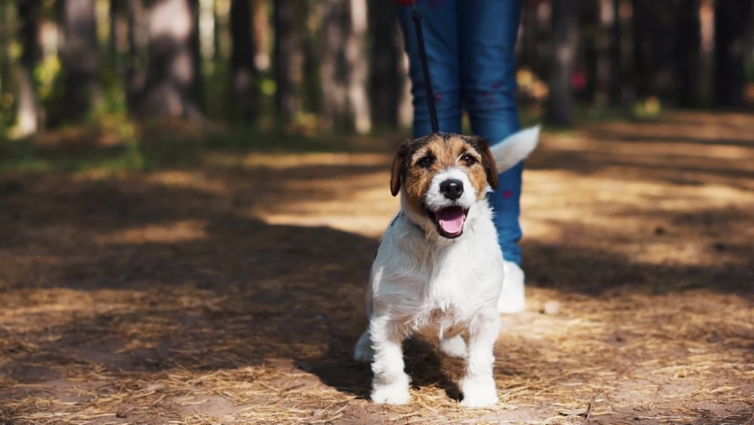 Tail walk