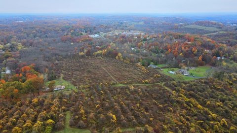 apple orchard, tree garden, and parklands next to a residential neighborhood during autumn