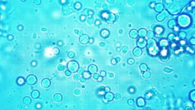 The amoeba is moving through microscopic lightings by researchers. The amoeba is moving through microscopy for medical teams or scientists.