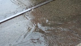 Autumn rain in city, people's legs crossing puddle on asphalt pavement
