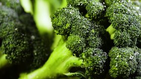 Broccoli With Drops of Water, Beautiful 4k Video, Raw organic food , Organic harvest in garden, Farming, Agriculture, Vegetables