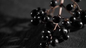 4K Close up of wild black forest berries. Rotating macro video of colorful non-eddible berries. Beautiful natural and organic background with strong contrasts.