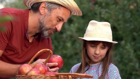 Father Teaching His Daughter About Organic Apple Juice Making Process. Rack Focus Shot. Healthy Food Concept. Father and Daughter in an Apple Orchard Talking About Natural Apple Juice. 